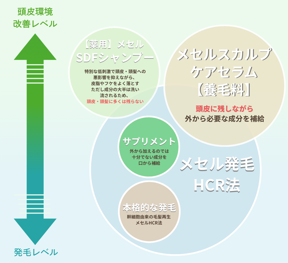 薄毛対策の全体設計