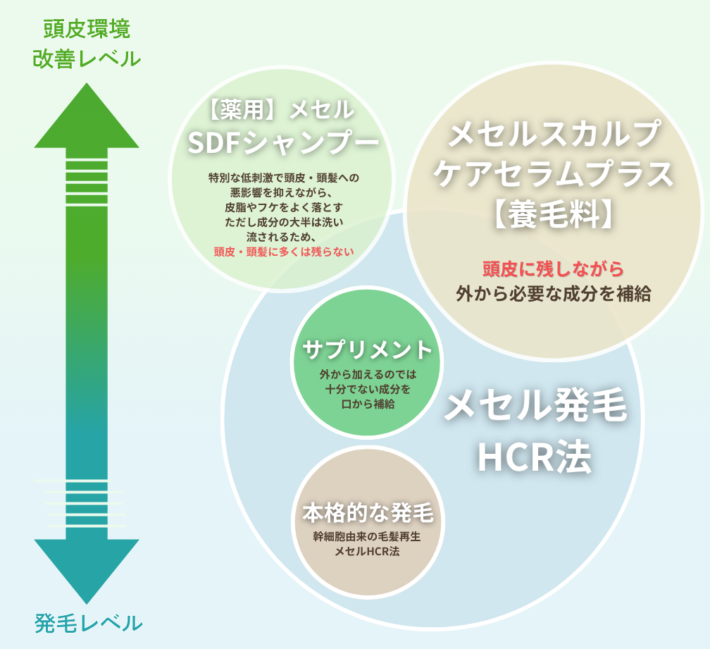 薄毛対策の全体設計